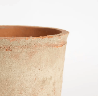 Pansy Terracotta Pot