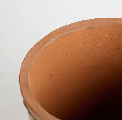 Pansy Terracotta Pot