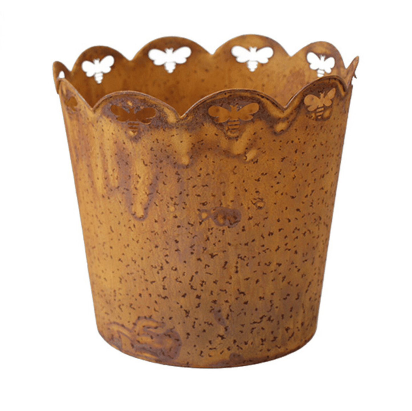 Bee Garden Planter Set