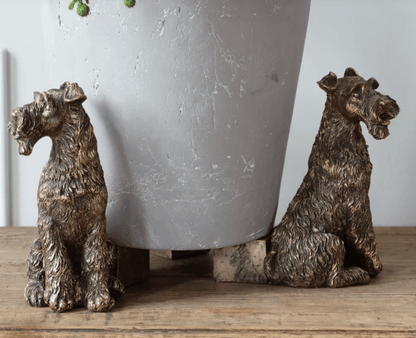 Country Terrier Pot Trio