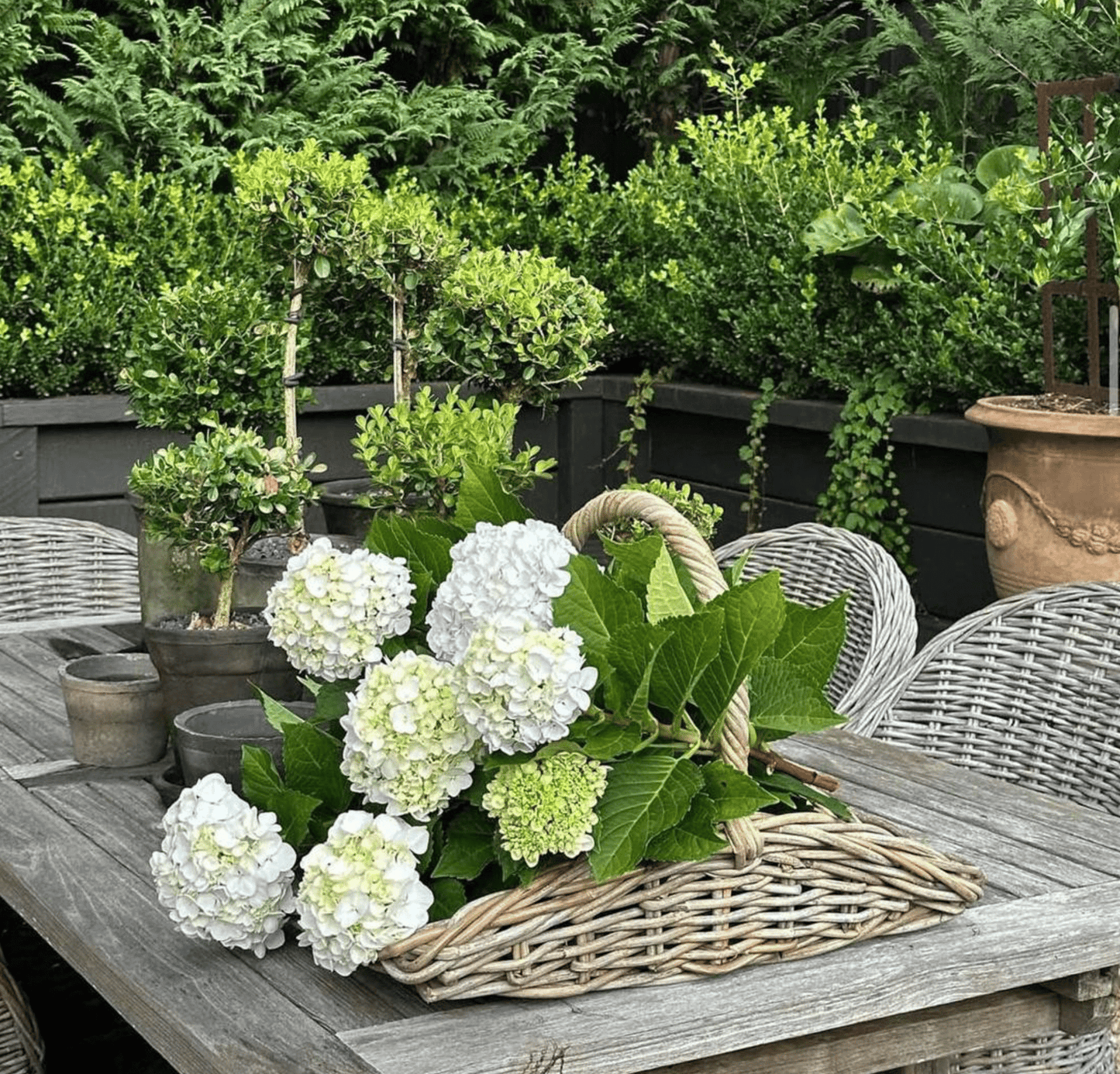 Kubu Trug