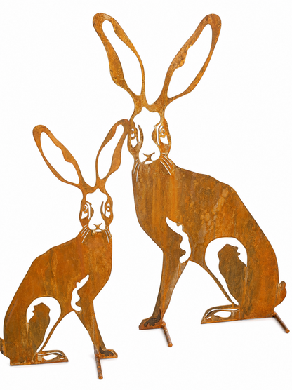 Harolds hare - HAROLDS