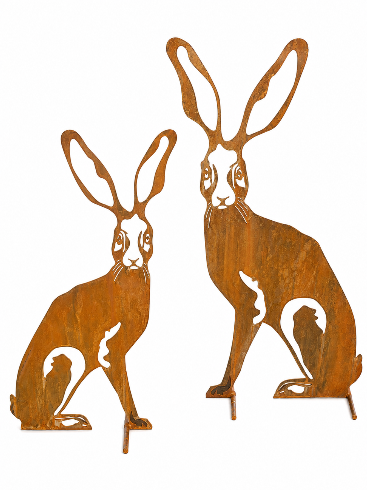 Harolds hare - HAROLDS