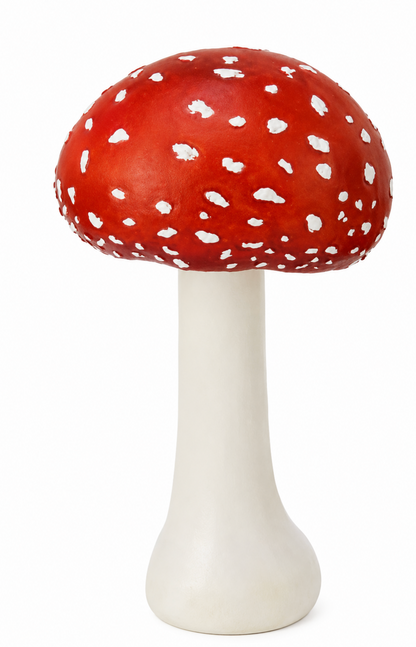 Amanita mushroom - HAROLDS