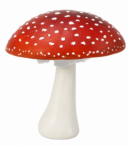 Amanita mushroom - HAROLDS