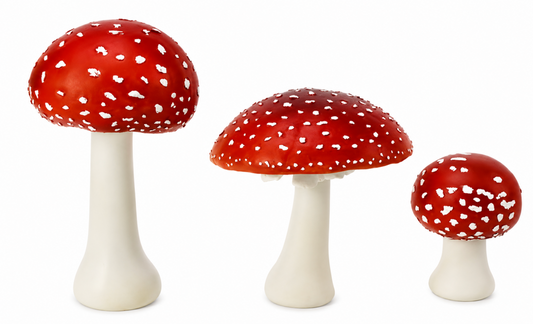 Amanita mushroom - HAROLDS