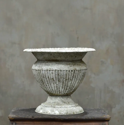 Fluted urn in Blanca finish - single urn with weathered white patina, beaded rim and footed base on timber plinth