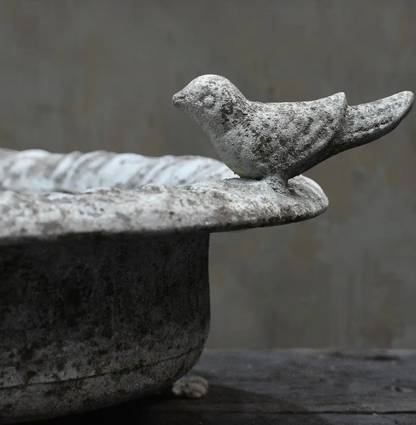 Close detail of small iron claw foot on base of cast iron bird dish