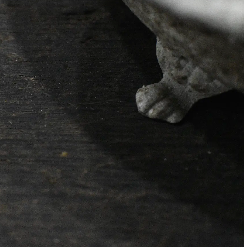 Cast iron bird dish in aged Blanca patina - side profile showing iron feet and embossed body