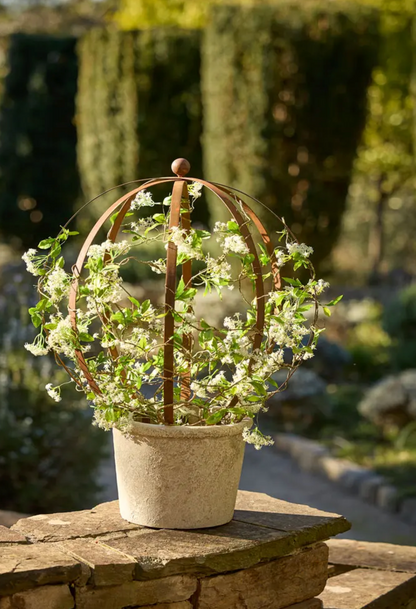 Ball Topiary Frame in pre-rusted mild steel styled with white flowering climber in garden pot