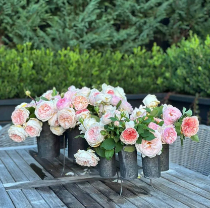 French Tin Centrepiece