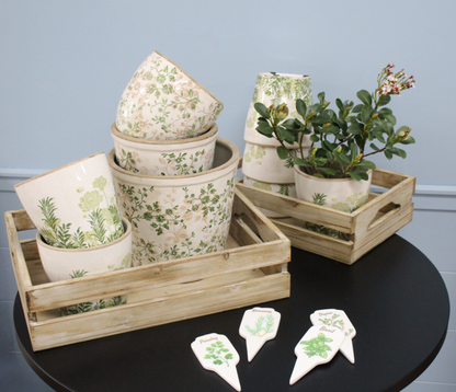 Styled Evergreen floral ceramic planters with plants