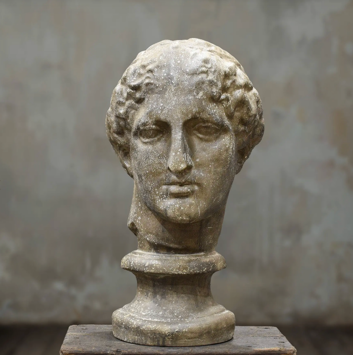 Close-up side view of classical female bust face