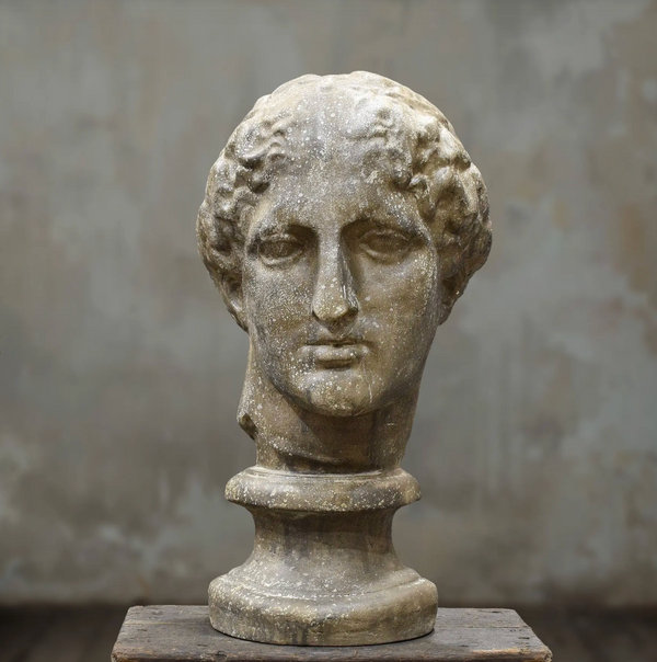 Close-up side view of classical female bust face