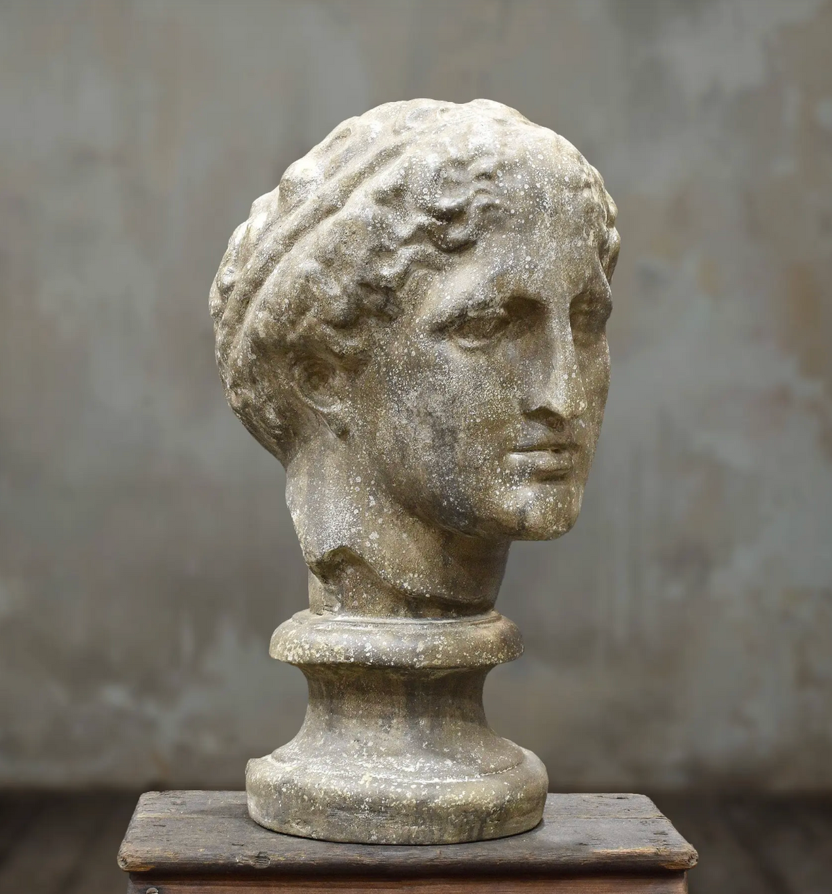 Rear view of classical female cement bust