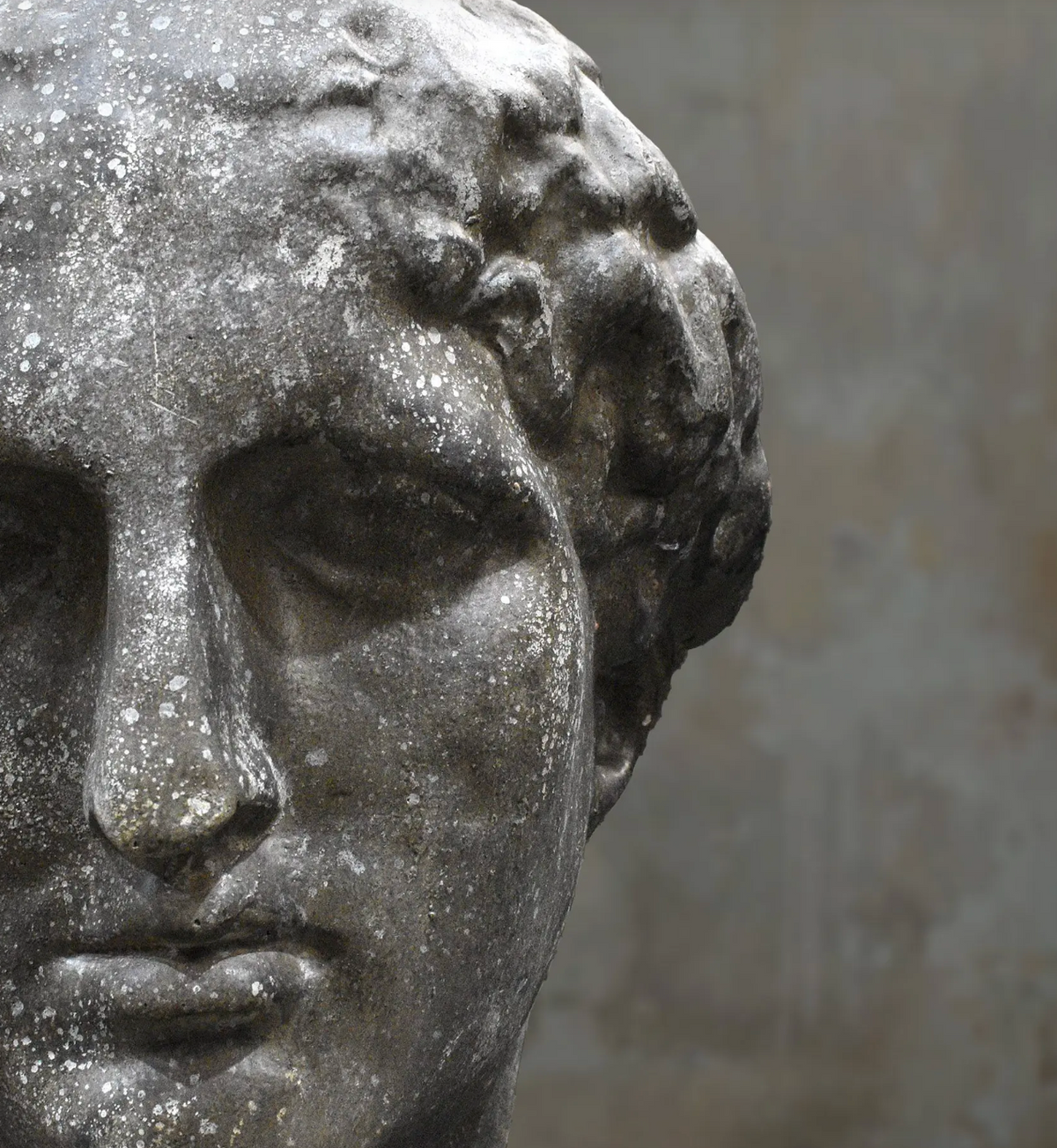 Three-quarter view of classical female cement bust