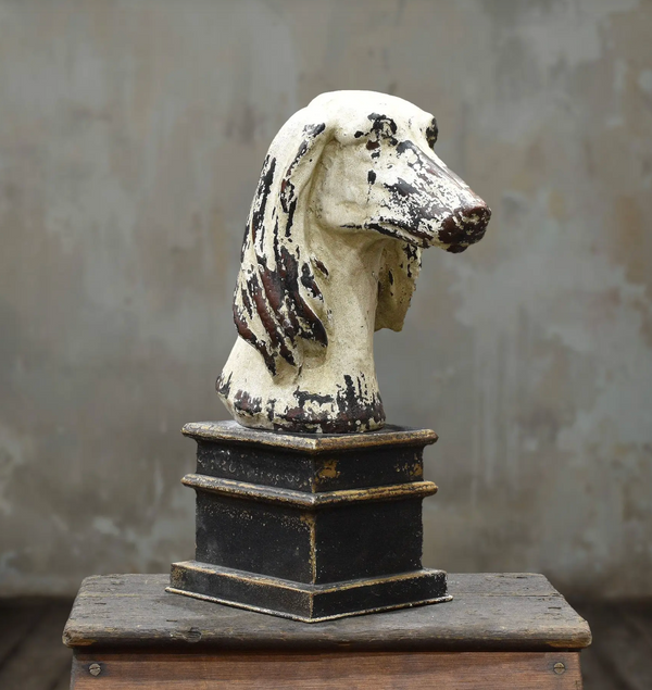 Close-up of dog bust head and long ears