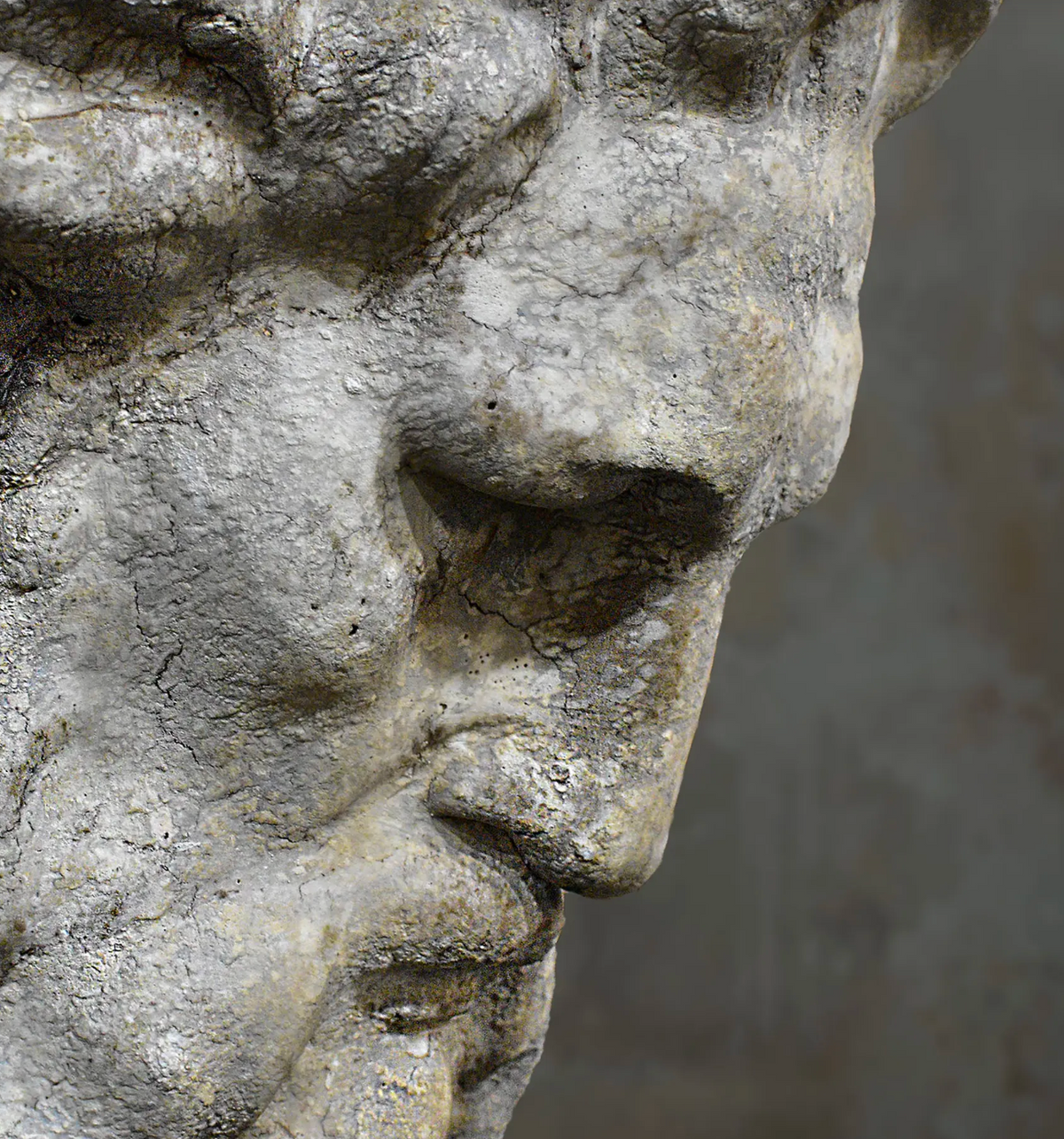 Close-up of lion wall plaque mouth and relief