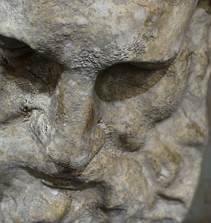 Close-up of lion wall plaque mane and face