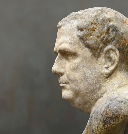 Classical bust, rear view