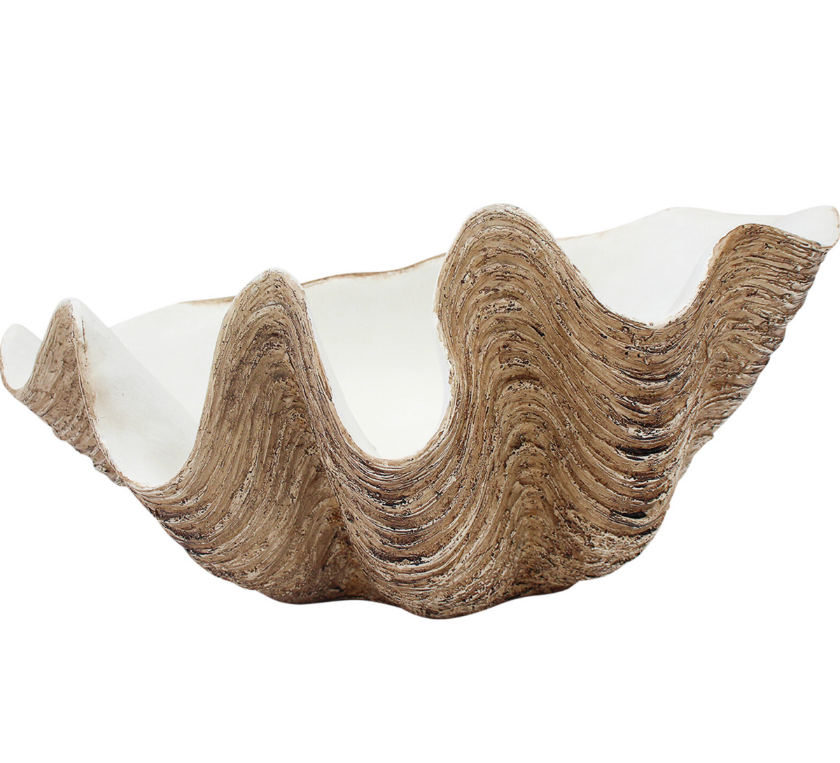 Large resin clam shell with sculpted ridges and a white interior, side view