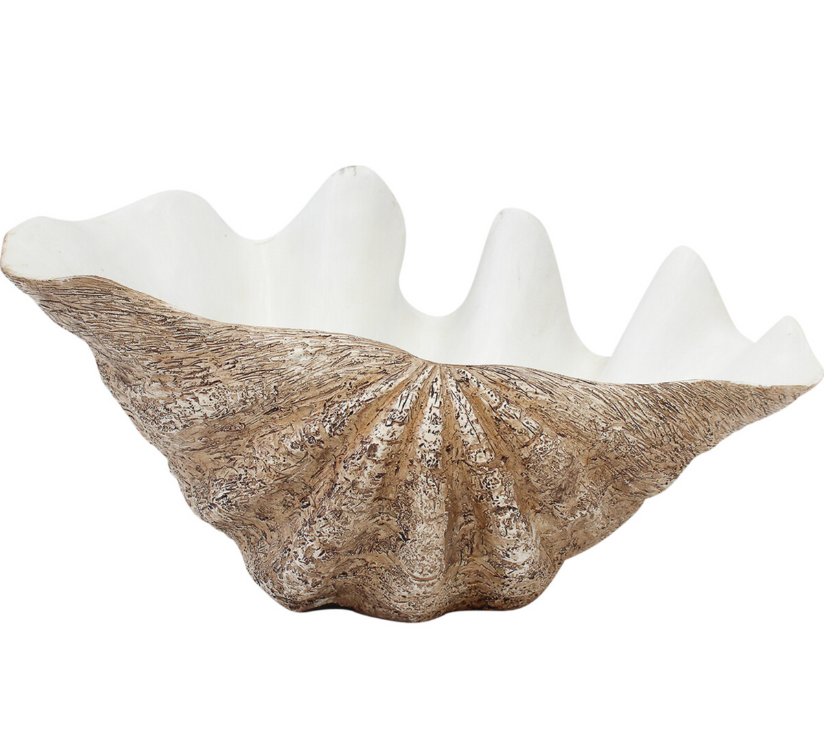 Large resin clam shell with a weathered natural-toned exterior and white interior, front view