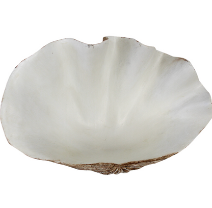 Small dark resin clam shell with sculpted ridges and a white interior, front view