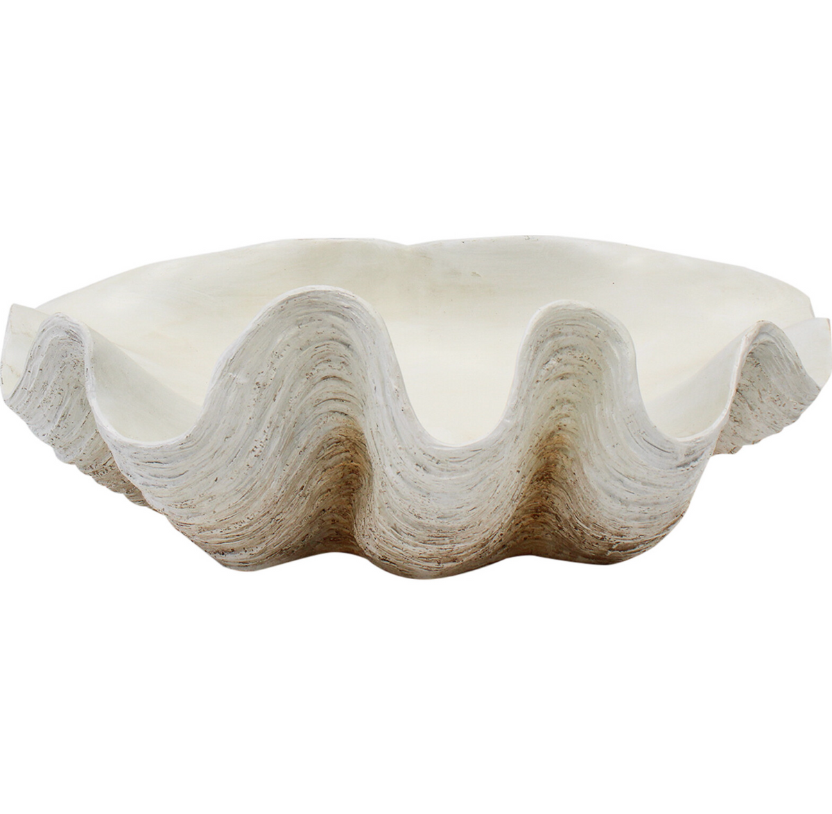 XL natural resin clam shell with ridged natural-toned exterior and off-white interior