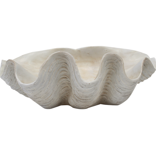 Overhead view of the curved white interior of the XL resin clam shell