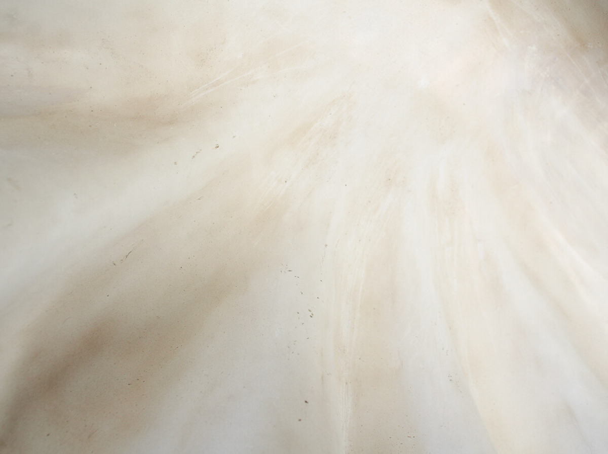 Close-up of the white resin clam shell interior surface
