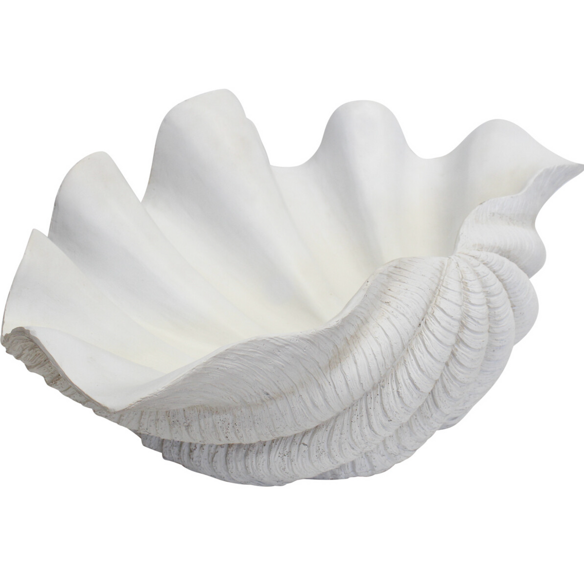 Giant white resin clam shell showing scalloped front edge and open interior