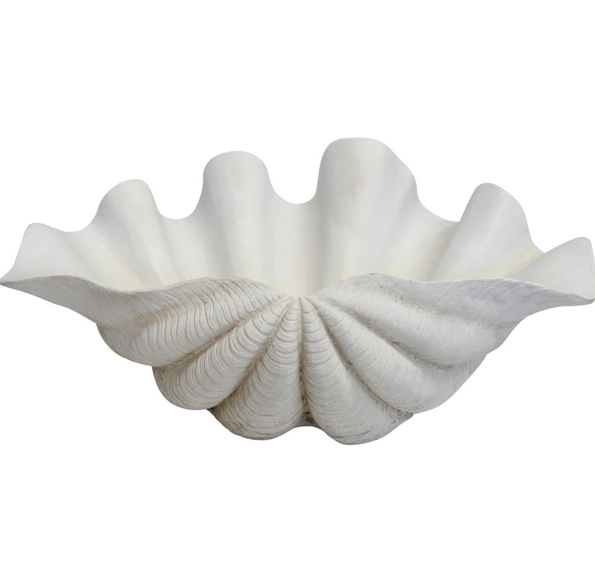 Giant white resin clam shell showing ridged exterior and wavy rear edge