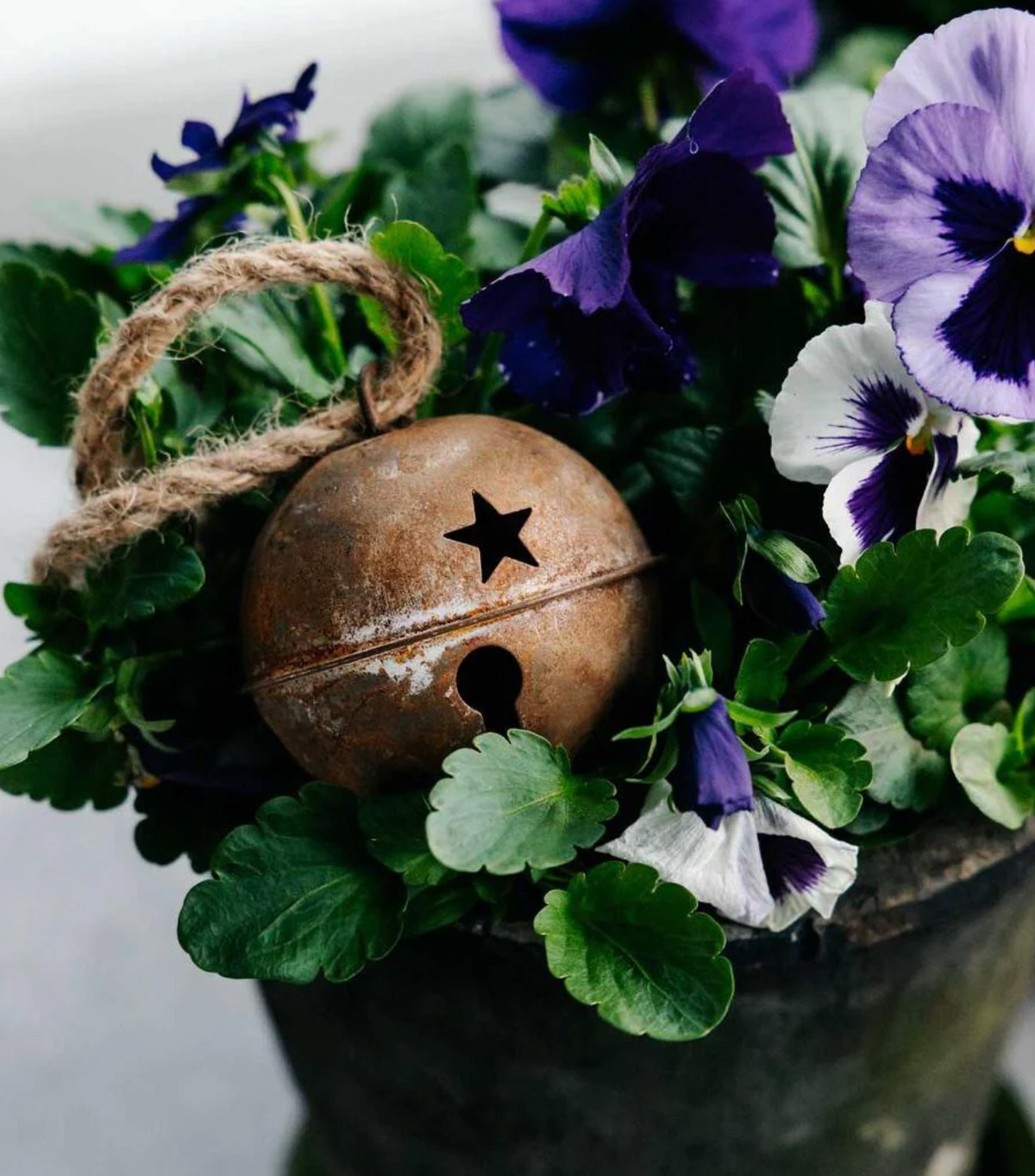 Rusty bell bauble resting beside pansies with metal bells in the background