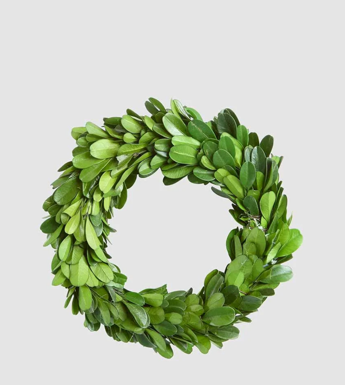Angled view of preserved boxwood mini wreath