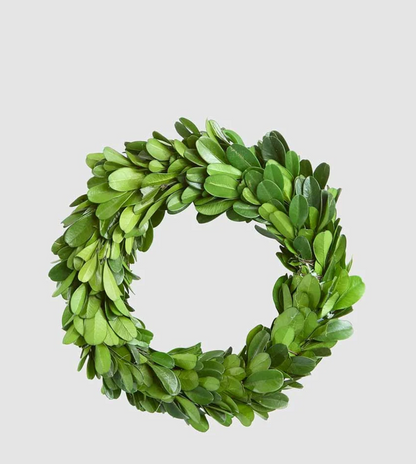 Angled view of preserved boxwood mini wreath