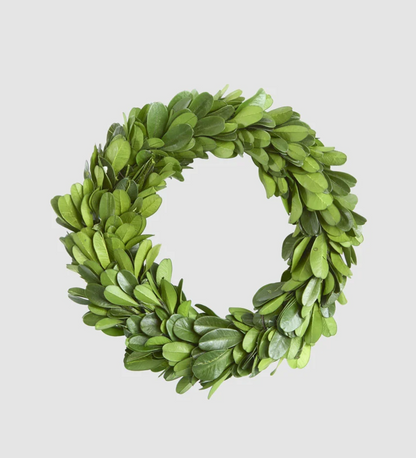 Preserved boxwood mini wreath with circular green foliage