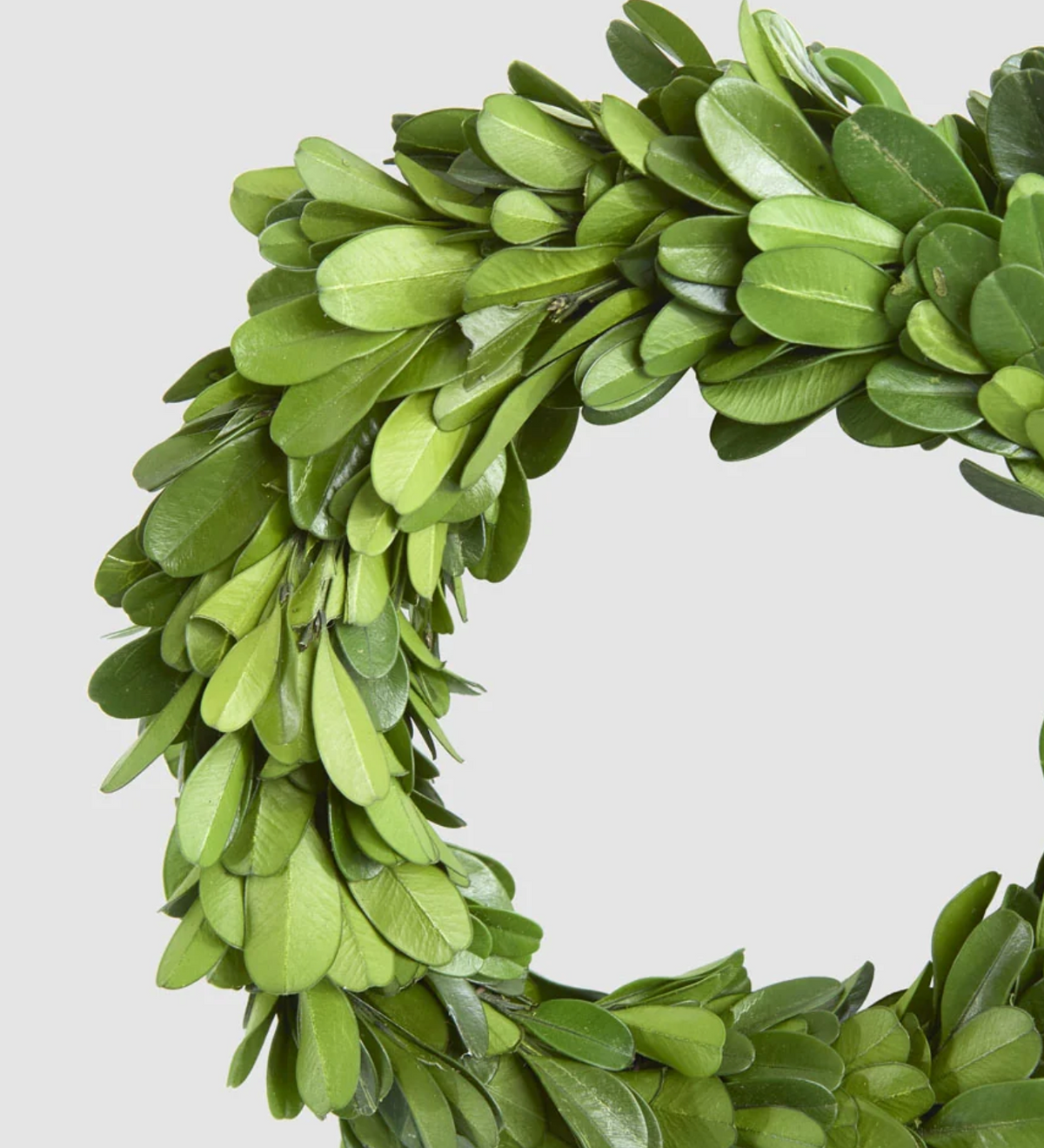 Close-up of layered green leaves on preserved boxwood mini wreath