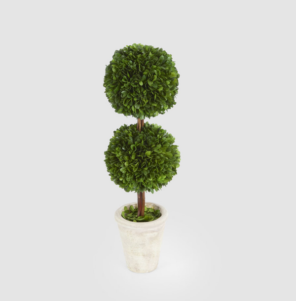 Single, double and triple ball boxwood topiaries displayed together in pale pots