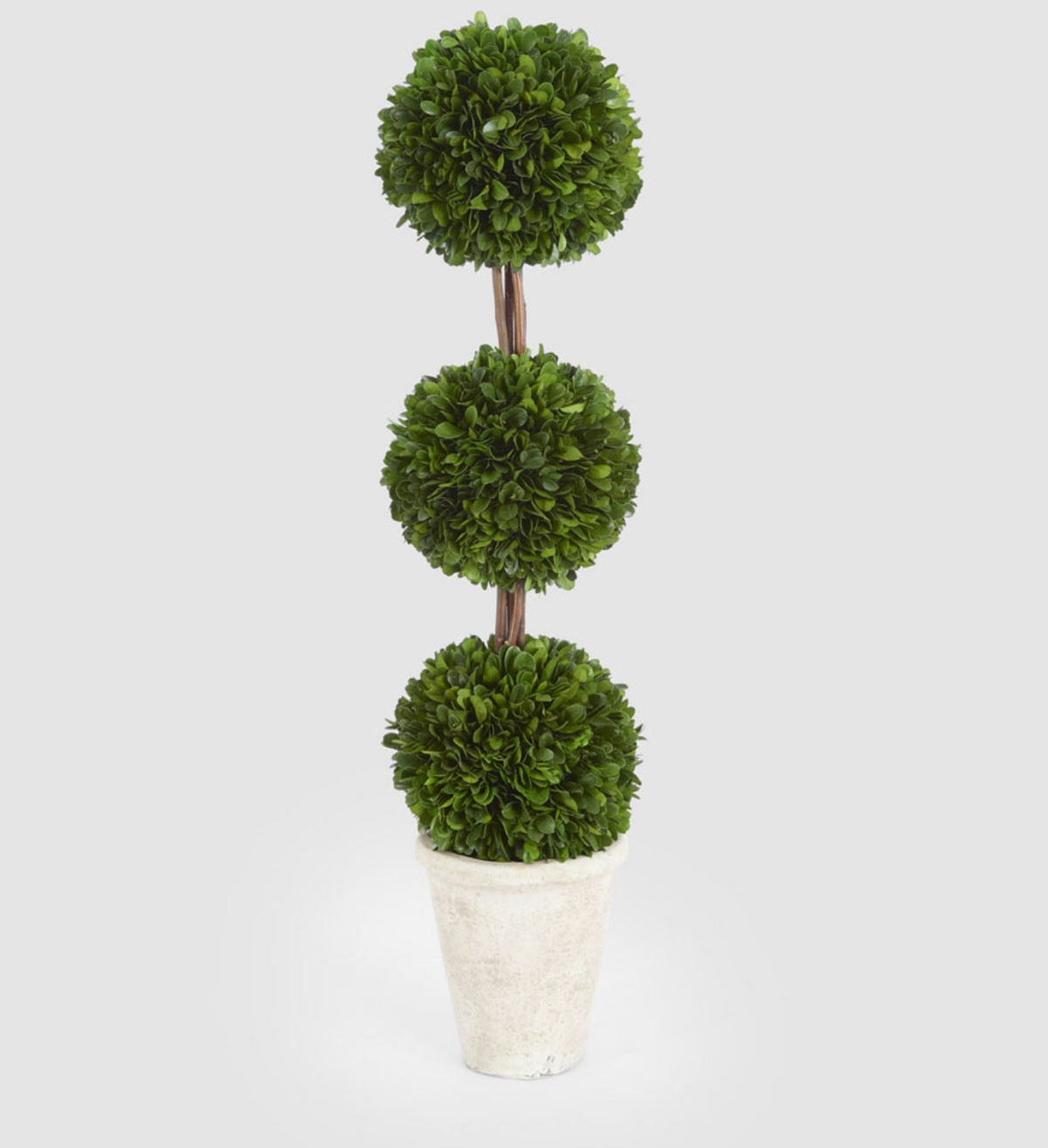 Preserved boxwood triple ball topiary showing slender stems between three foliage spheres