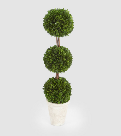 Preserved boxwood triple ball topiary with three rounded green foliage crowns in a pale pot