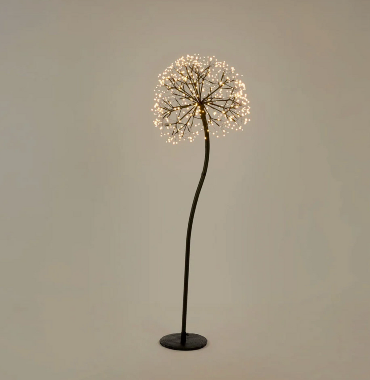 150cm dandelion floor light illuminated with warm white LEDs, curved black stem and circular base