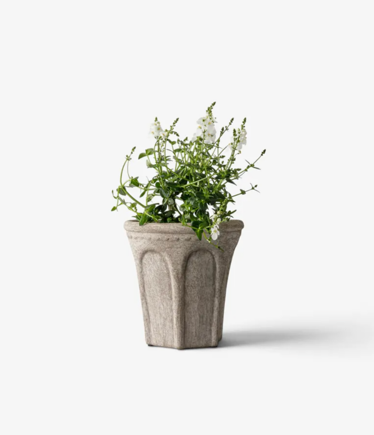 Small Sand Terra Arc Planter with a flowering plant displayed on outdoor steps.