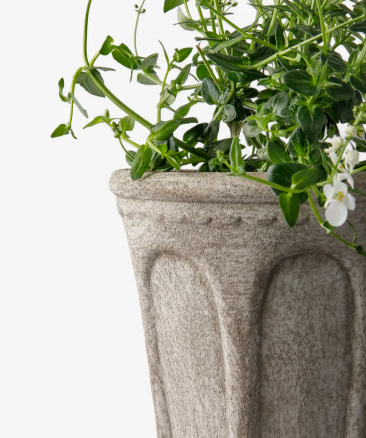 Close-up of the Small Sand Terra Arc Planter's terracotta rim and sculpted arch-inspired panel.