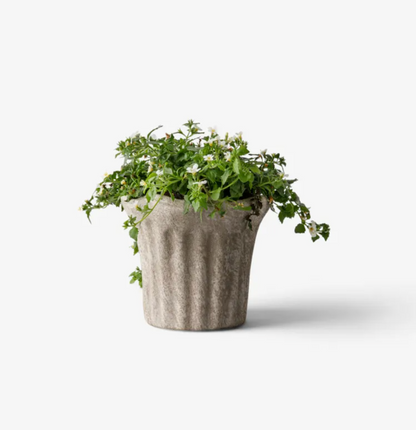 Small Sand fluted terracotta planter with a flowering plant on a white background