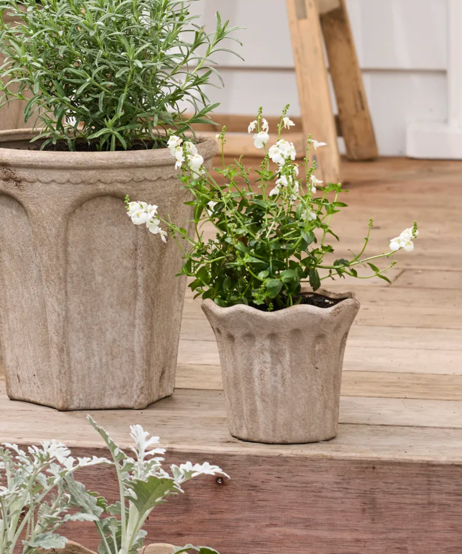 Close-up of the Small Sand fluted terracotta planter with rosemary