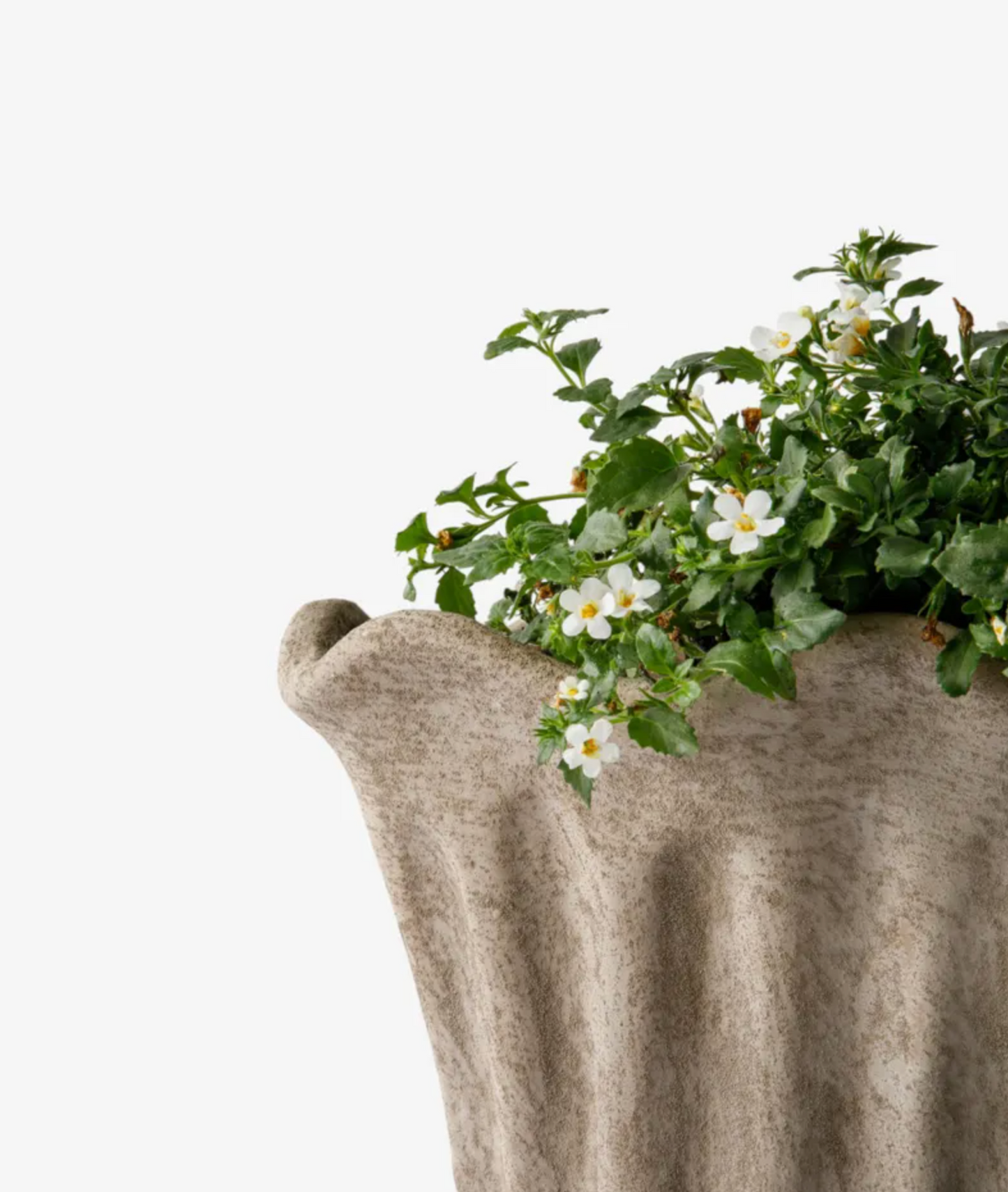 Terra Fluted Oval Planter Large in sand terracotta with a flowering plant