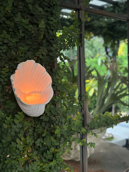 Oyster Wall Candle Holder