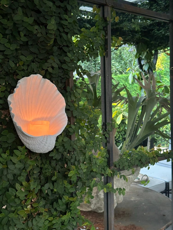 Oyster wall candle holder - HAROLDS