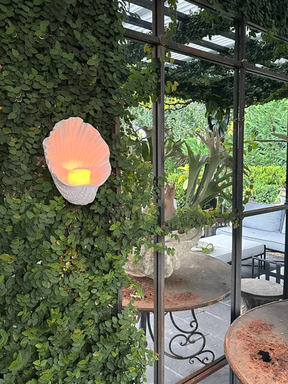 Oyster Wall Candle Holder