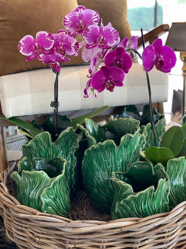 Sculptural cabbage ceramic vases - HAROLDS
